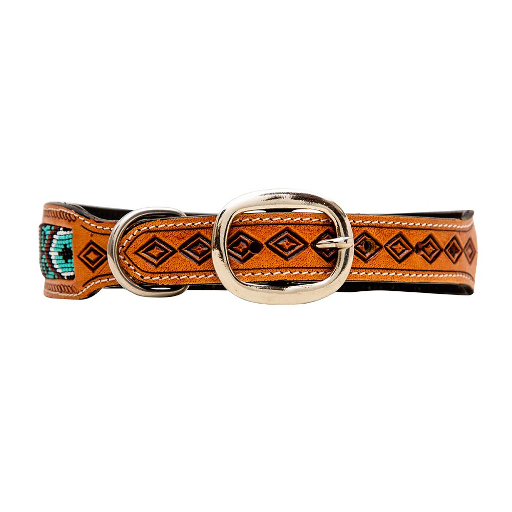 The Rip Dog Collar