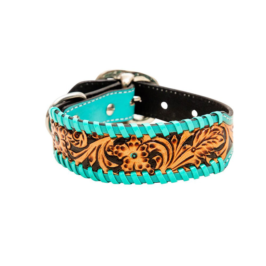 Turquoise twisted dog collar