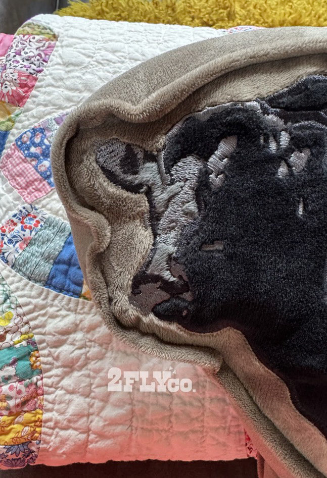 Angus Bull Pillow