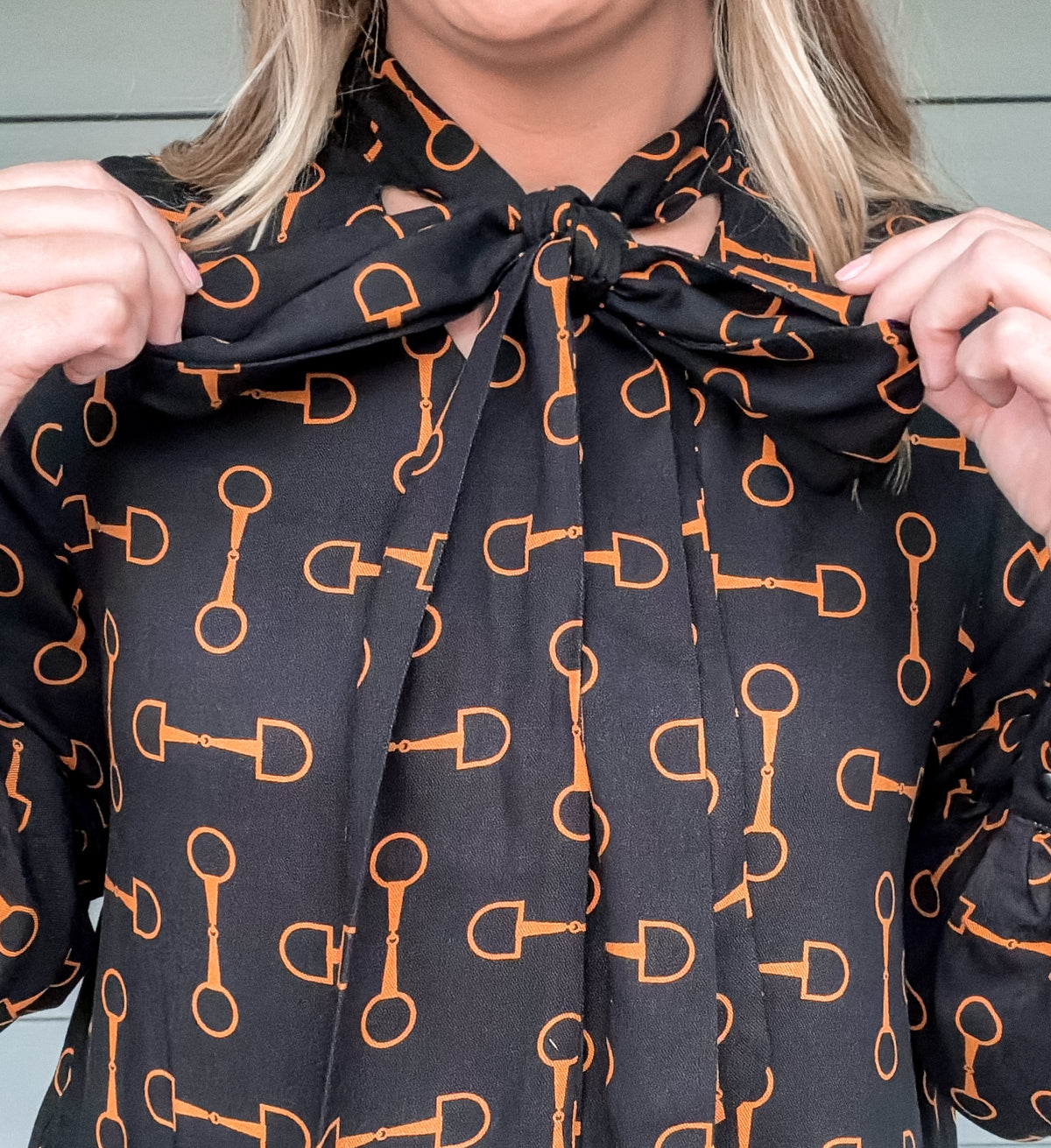 Bit & Bridle Dress