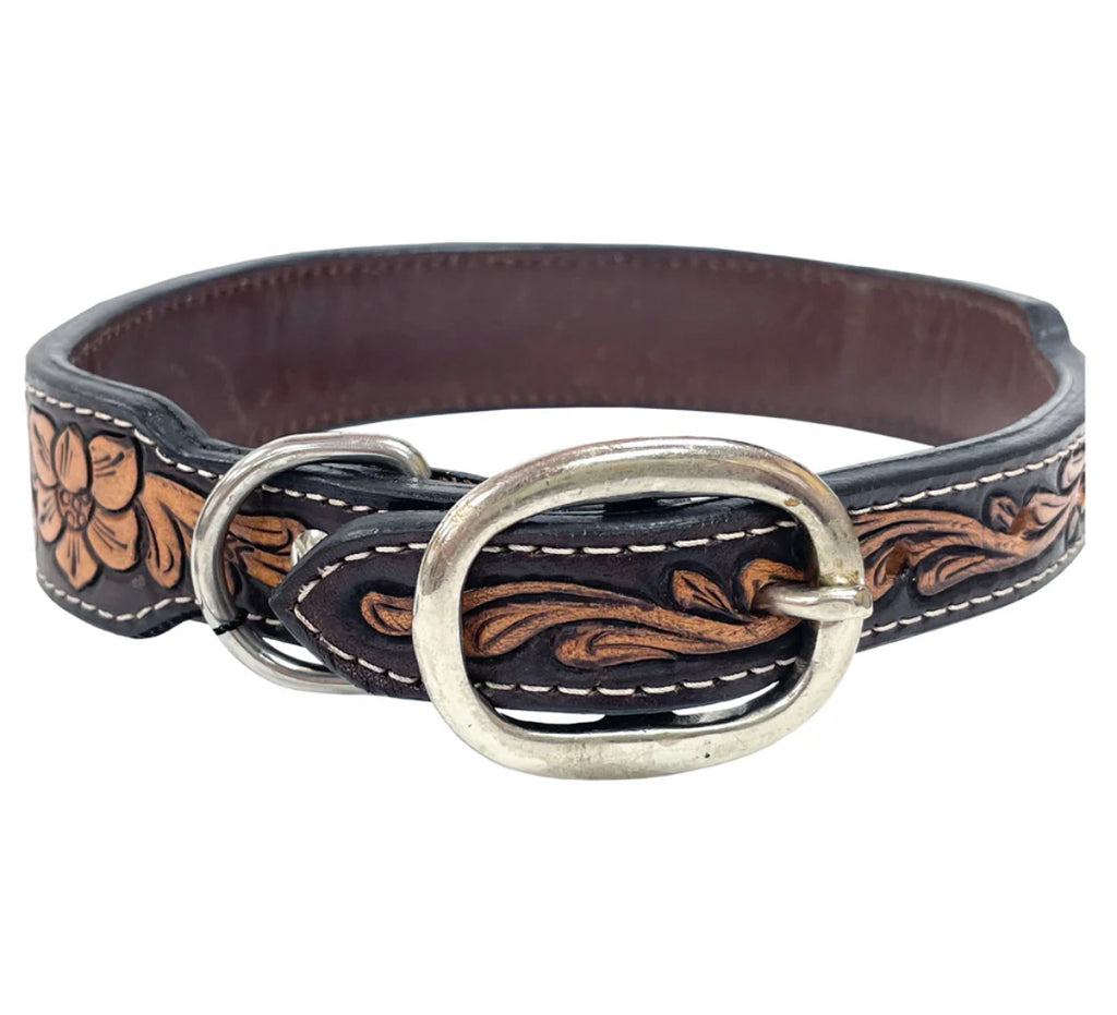 Premium Roger Red Dog Collar