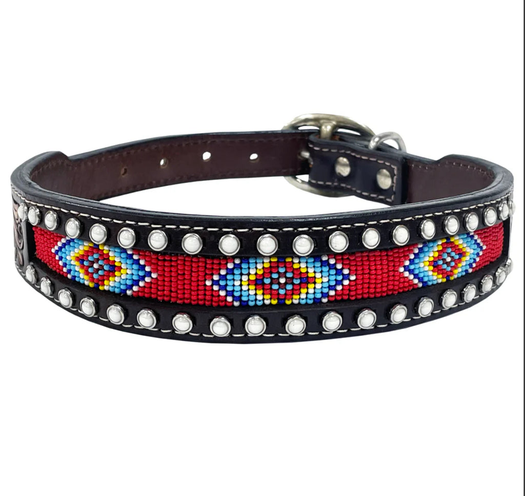Premium Roger Red Dog Collar