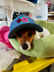 The Bijoux FAB Cap – Limited Edition, Embroidered in Texas