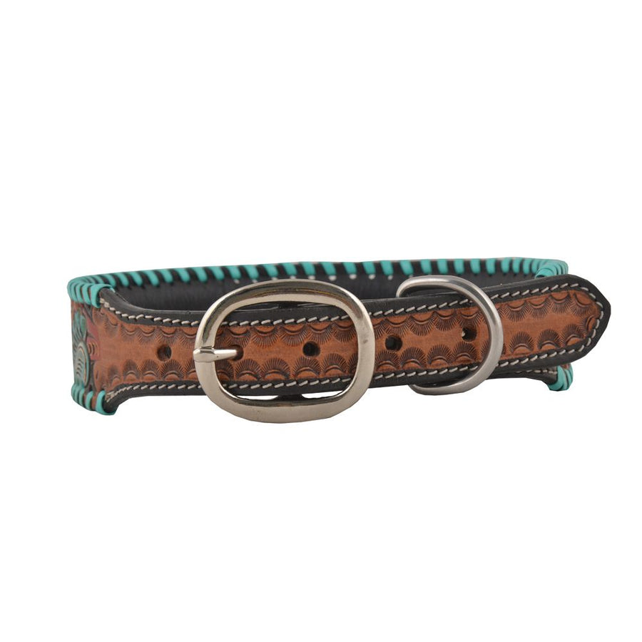 Turquoise western dog collar