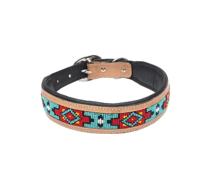 Phoenix Dog Collar