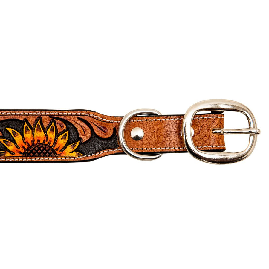 Sunflower Dog Collar