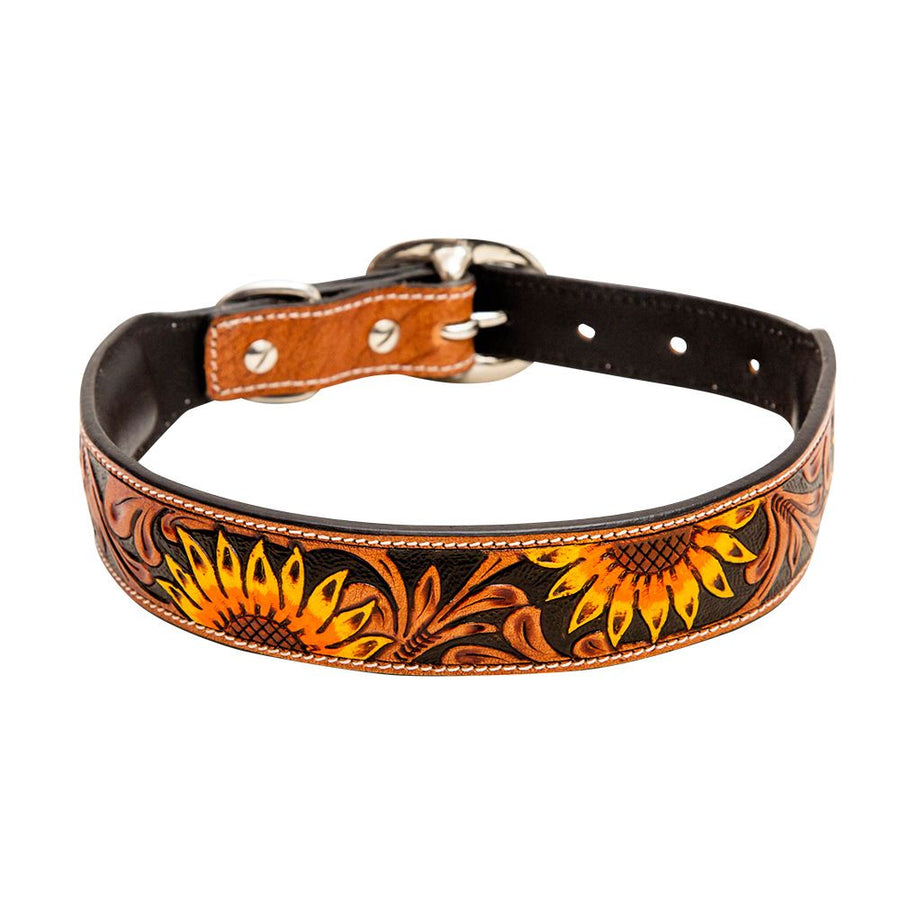 Sunflower Dog Collar