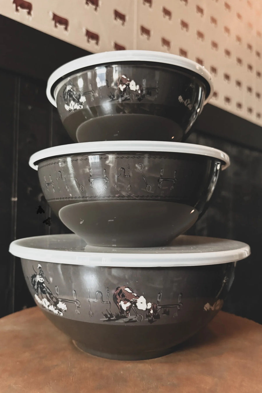 Western Roundup Bowl Set