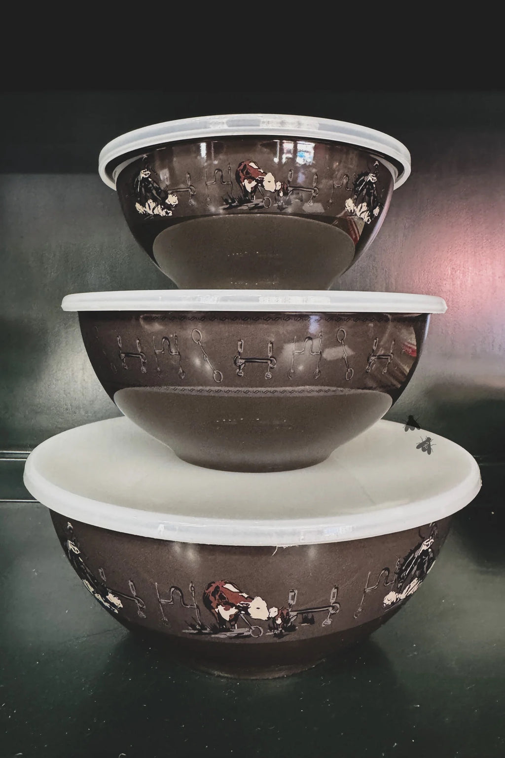 Western Roundup Bowl Set