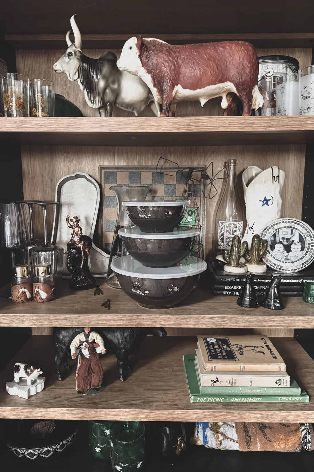 Western Roundup Bowl Set