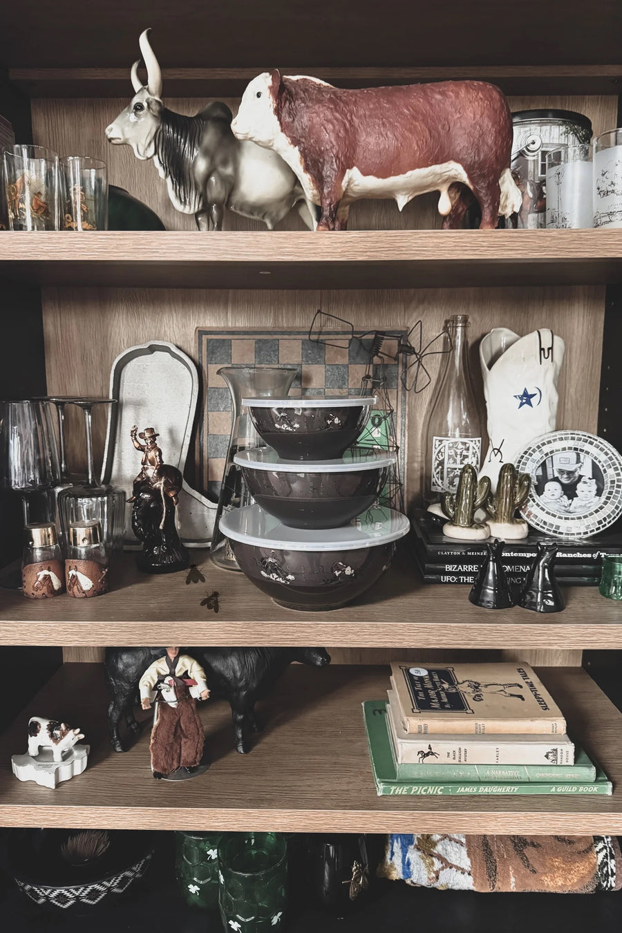 Western Roundup Bowl Set