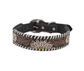 A brown leather dog collar with painted flowers 