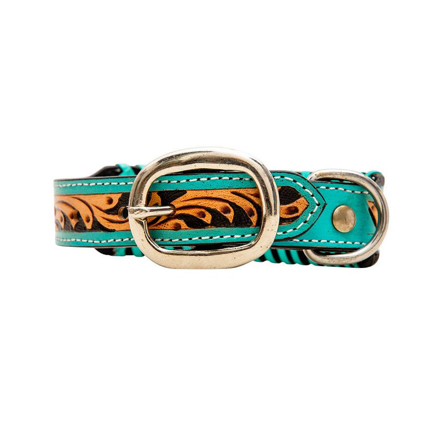 Turquoise twisted dog collar