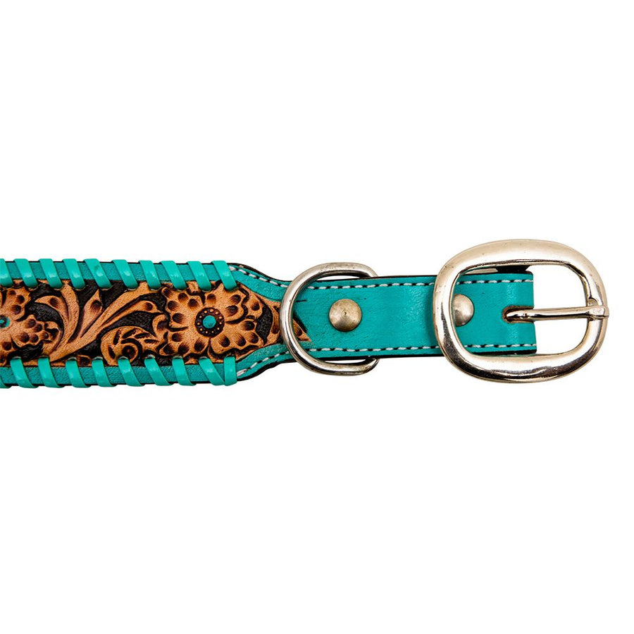 Turquoise twisted dog collar